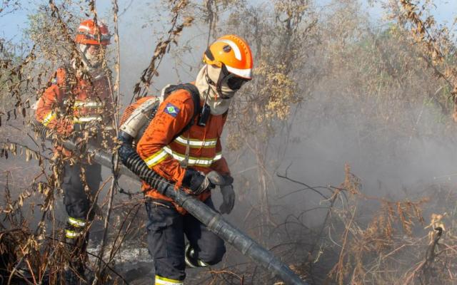 MT registra redução de 82% nos focos de calor; menor número para o mês de setembro desde 1998