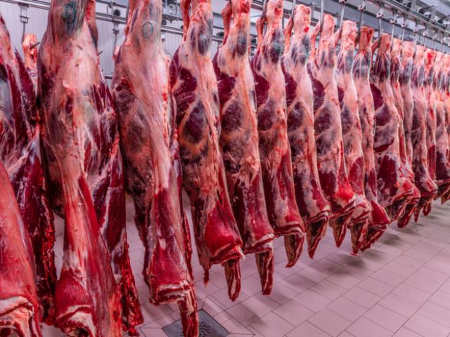 Carne bovina deve enfrentar 'teste sutil' em 2026, segundo frigoríficos