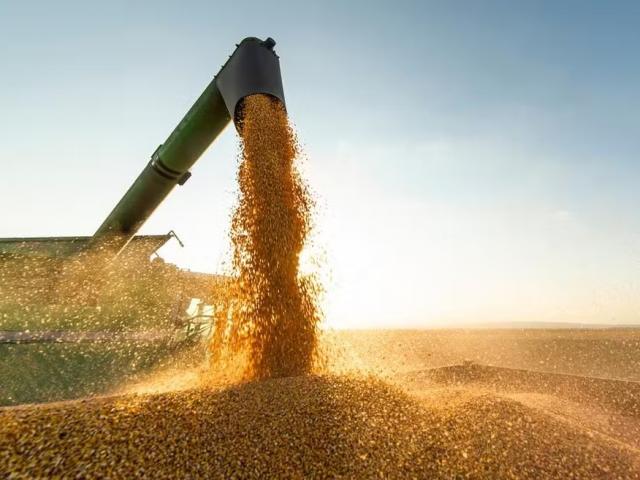 Mato Grosso está entre os 5 estados que mais exportaram em 2025