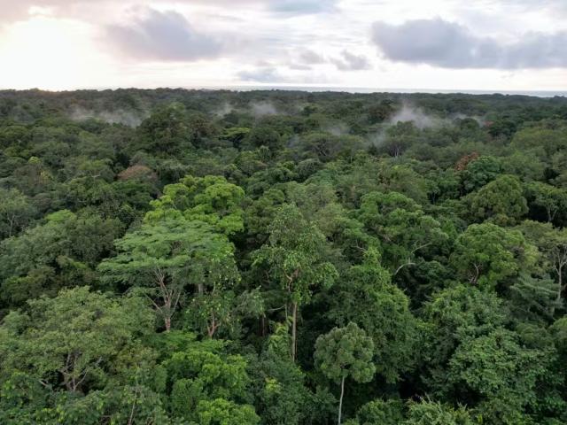 STF suspende demarcação de terra indígena em MT por falta de indenização a proprietários