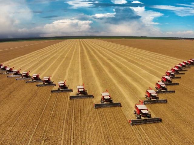 Agro cresceu 11,7% e liderou avanço do PIB brasileiro em 2025, diz IBGE