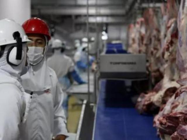 Frigoríficos terão que garantir isenção de 'lavagem de gado' para vender à Europa