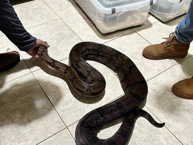 Biólogo mantinha 