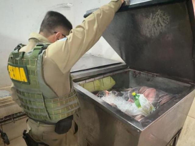 Sema apreende equipamentos proibidos e devolve 56 peixes ao Lago do Manso