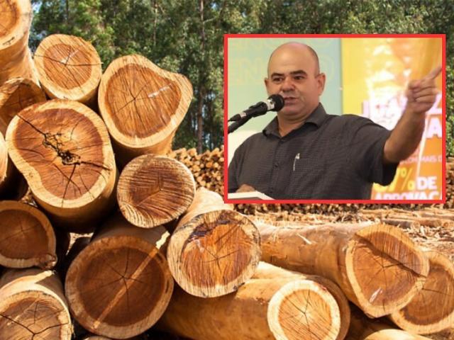 Ex-prefeito e engenheiro são condenados por “lavagem” de madeira ilegal em Mato Grosso