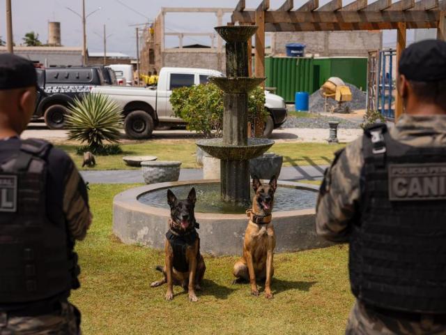Sejus reúne equipes caninas das forças de segurança para torneio de habilidades em Cuiabá