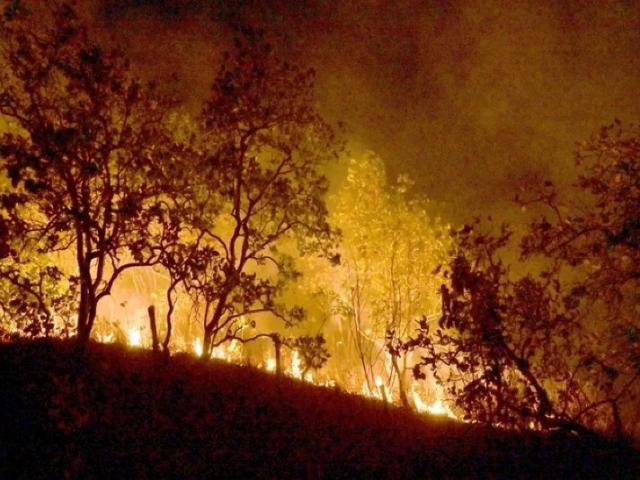 Mato Grosso decreta estado de emergência ambiental e proíbe uso do fogo entre abril e novembro