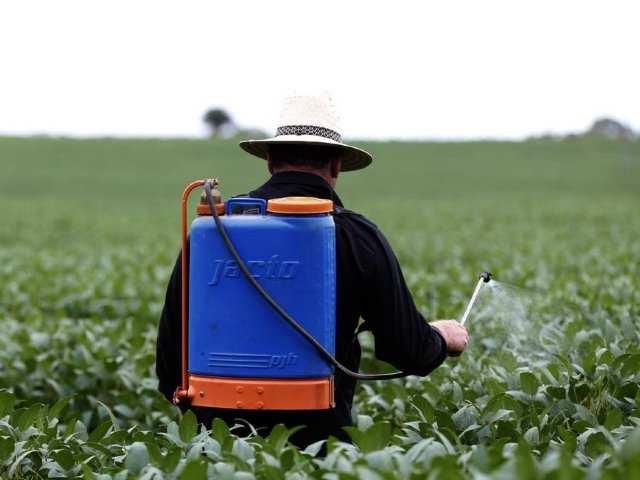 Mensagem de celular é usada como prova contra produtor que atingiu vizinhos com agrotóxico