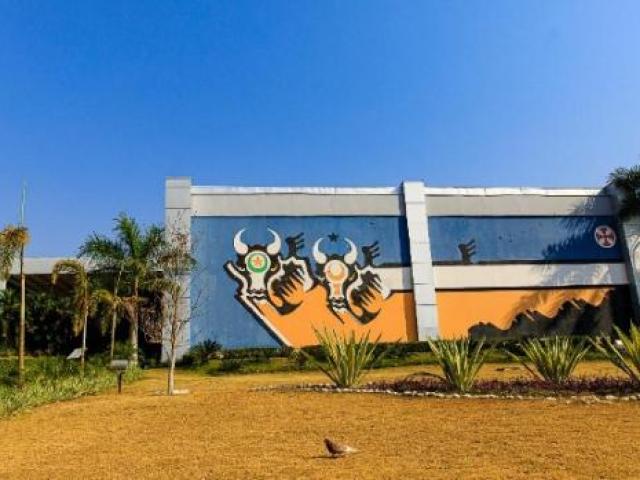 Multa contra agressores de mulheres pode chegar a R$ 1,8 milhão em MT