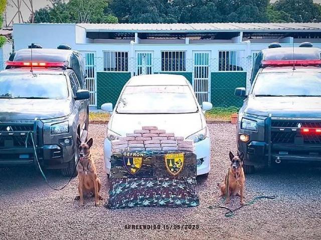 Cães farejadores do Gefron descobrem 26 quilos de cocaína em carro na divisa entre Bolívia e Cáceres