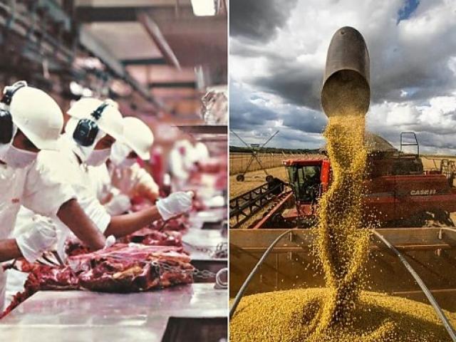 Carne e óleo de soja faz indústria de Mato Grosso disparar e alcançar o 2º lugar do país