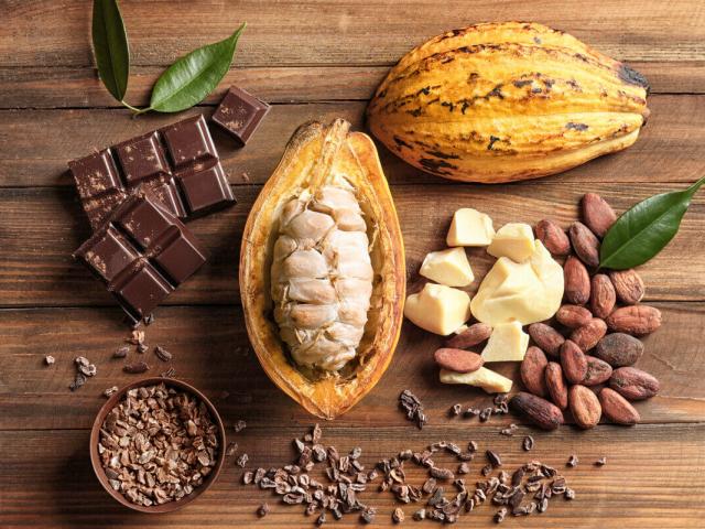 Novas regras do chocolate dividem produtores de cacau e indústrias