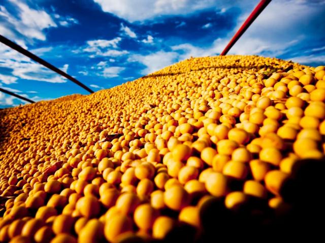 Brasil terá produção recorde e deve ampliar aliderança global em 2027