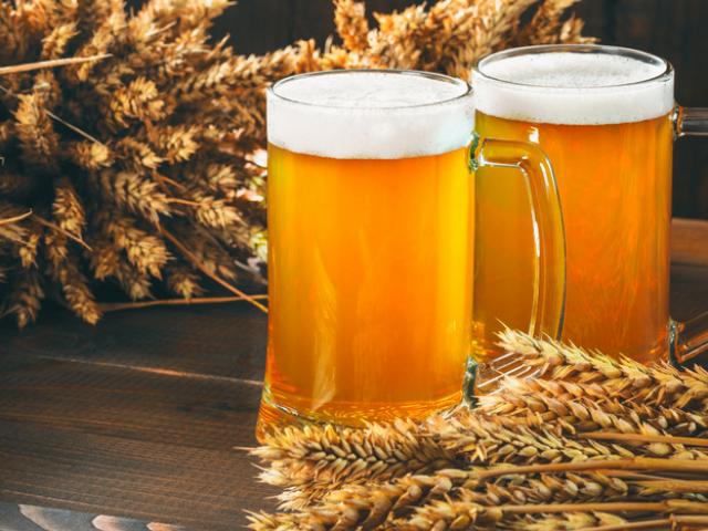 Brasil tem mais de 44 mil cervejas registradas e bate recorde em valor exportado