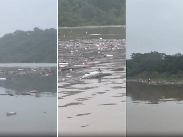 Guia de turismo mostra Rio Cuiabá tomado por lixo e peixes mortos