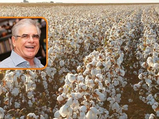 Ex-Rei do Algodão tem contrato de fazenda penhorado para pagar dívida de R$ 37,5 milhões