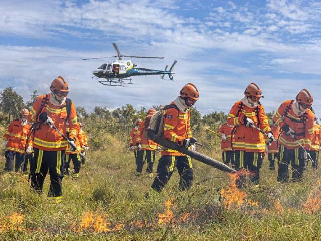 Proibição de queimadas em áreas rurais começa nesta quarta em MT