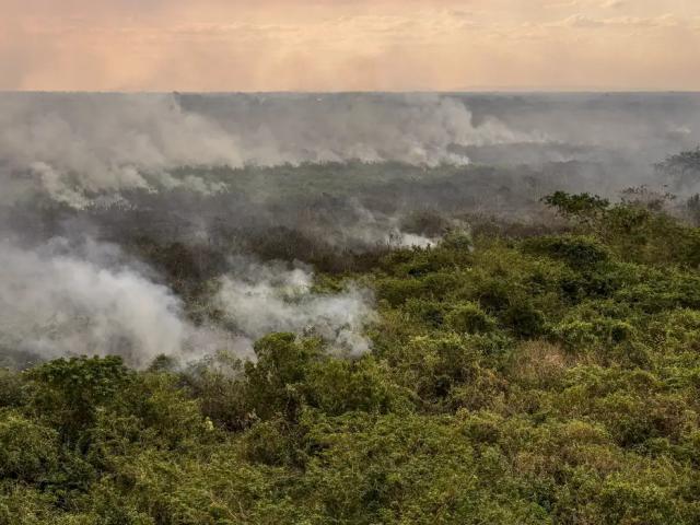 Área queimada no Brasil cai 31% em 2025, diz MapBiomas