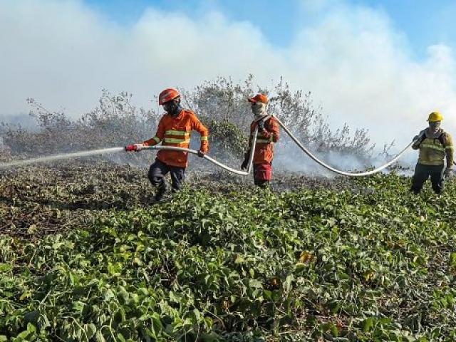 Mato Grosso tem o menor número de queimadas em julho desde 1998