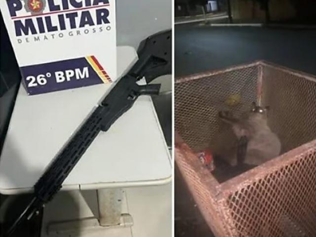Homem que atirou em gatos com airsoft ganha liberdade sem fiança em Nova Mutum