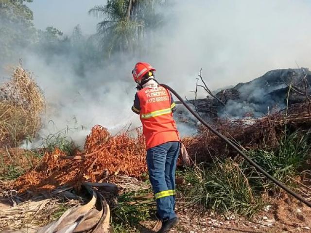 Mato Grosso lidera número de focos de calor no país durante seca