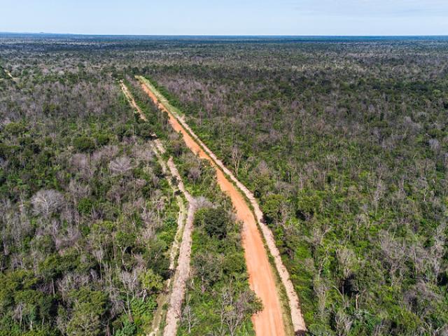 Regras para aceiros no Pantanal são atualizadas e passam a detalhar ações de prevenção e combate a incêndios