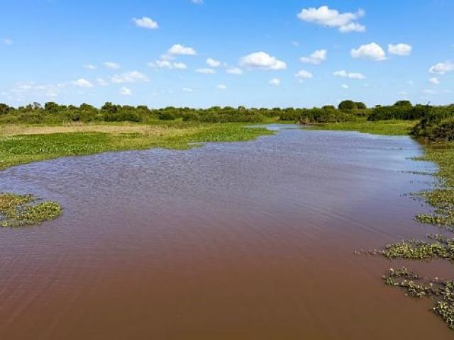 Ministério Público cobra estudos sobre influência da Usina do Manso na seca do Pantanal
