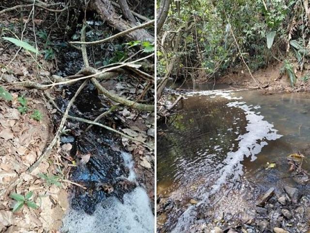 Ministério Público cobra R$ 1 milhão do frigorífico Boa Carne por poluir Rio dos Peixes em Colíder