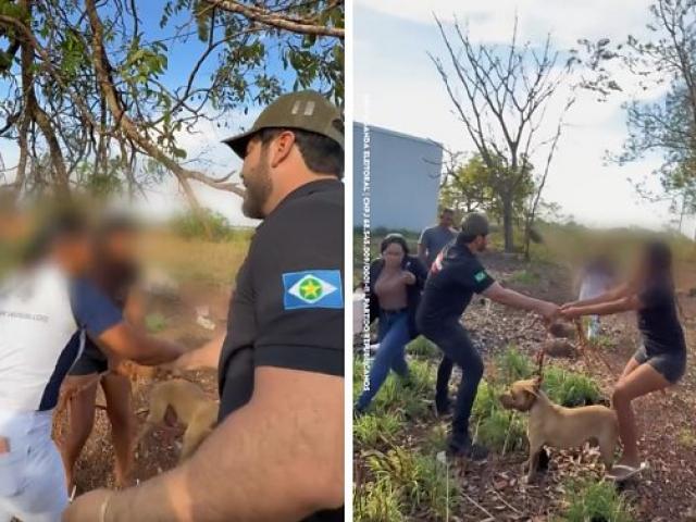 Vereador leva pedradas e apanha ao resgatar cães em situação de abandono em VG; mulher foi presa