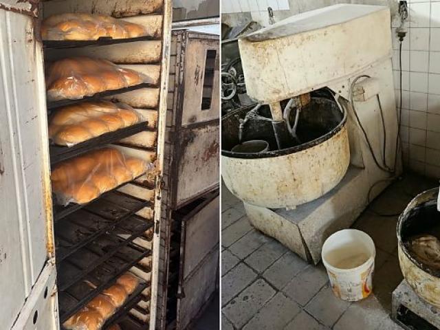 Padaria clandestina é flagrada produzindo pães em meio à crostas de sujeita em Cuiabá; vídeos