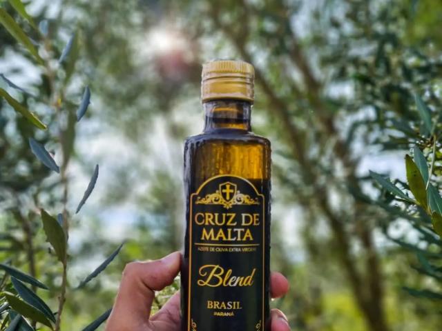 Conheça o azeite brasileiro que fez história em competição na Argentina 