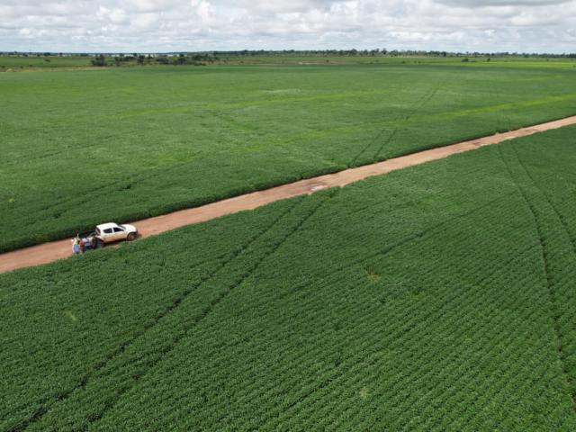 TCU determina revisão de atestado para acesso a recursos do crédito rural 