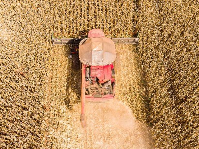 Mato Grosso lidera produção de grãos no Brasil e concentra 59,7% do gergelim nacional