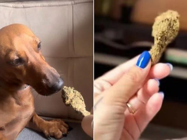 Mulher posta foto oferecendo maconha para cachorro e acaba presa em Sorriso
