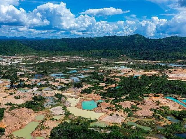 Dez pessoas, entre empresários e pilotos, viram réus por esquema de ouro ilegal na Amazônia; veja nomes