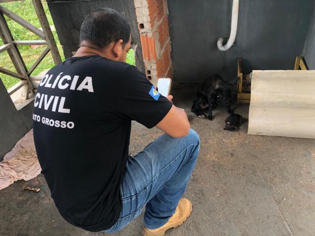 Dema apura denúncias de maus-tratos a animais em Cuiabá e Várzea Grande