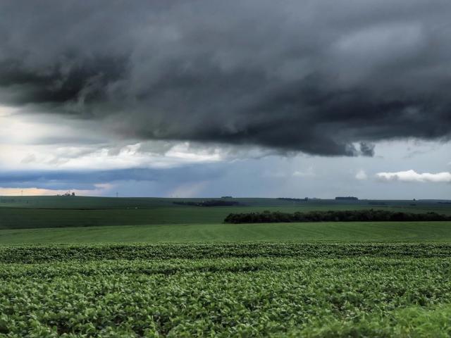 Chuvas irregulares e altas temperaturas impactam cultivos