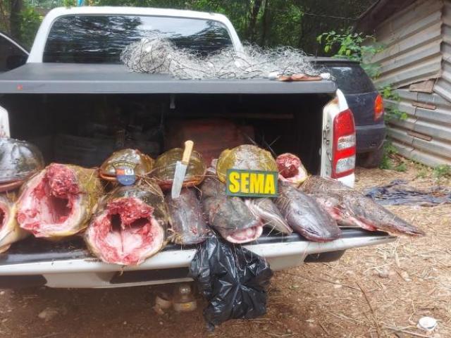 Sema apreende 118 kg de pescado ilegal durante operação na comunidade São Gonçalo Beira Rio