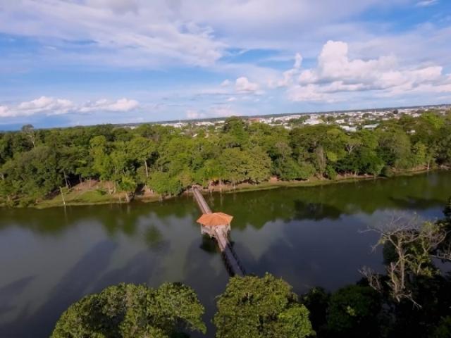 Como cidade mais arborizada de Mato Grosso, Sinop se consolida como referência nacional em sustentabilidade urbana