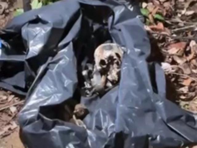 Ossada é localizada em região de mata em Sinop