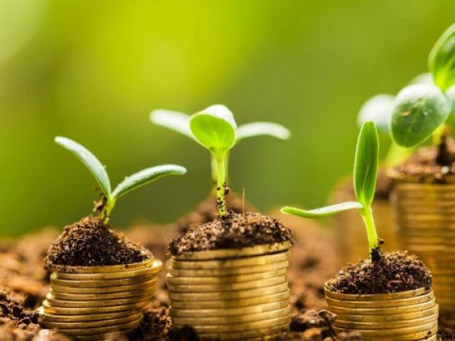 Renegociações de dívidas rurais levam R$ 90 bi de crédito da safra
