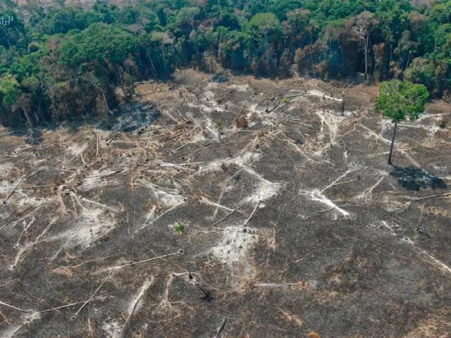Extração ilegal de minério na Amazônia lidera multas ambientais em MT