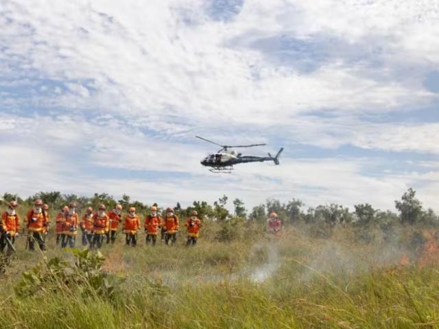 Multas por uso irregular do fogo em MT passam de R$ 360 milhões em 2025