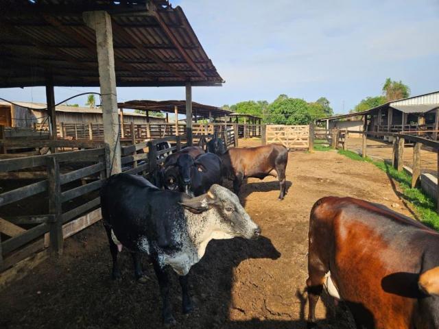 Seaf realiza reuniões sobre o Programa de Melhoramento Genético do Rebanho Leiteiro em 17 municípios