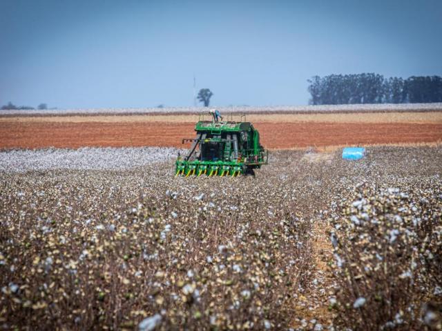 Governo de MT prorroga diferimento do ICMS para fertilizantes e mantém benefício até dezembro de 2026