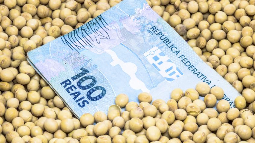 Governo demora a liberar recursos com juros mais baixos para plantio da safra