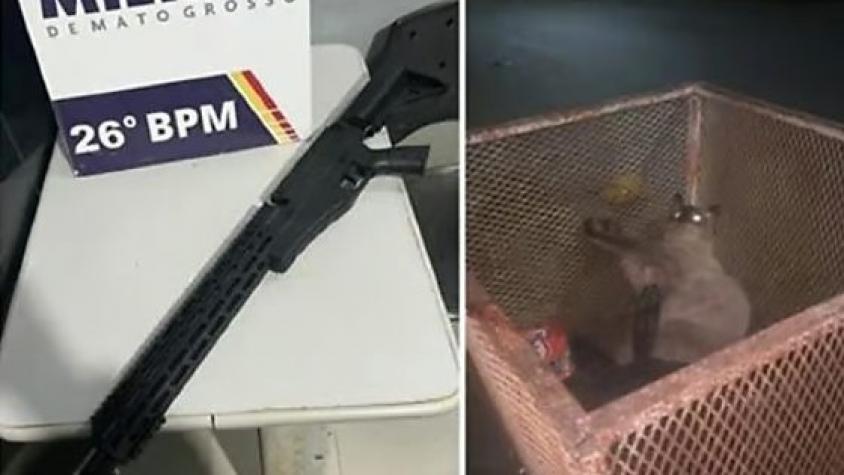 Homem que atirou em gatos com airsoft ganha liberdade sem fiança em Nova Mutum