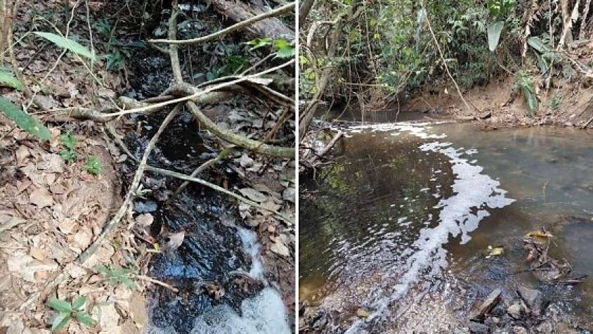 Ministério Público cobra R$ 1 milhão do frigorífico Boa Carne por poluir Rio dos Peixes em Colíder