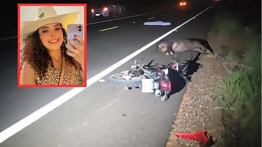 Designer de unhas morre após moto bater em anta em São José do Rio Claro