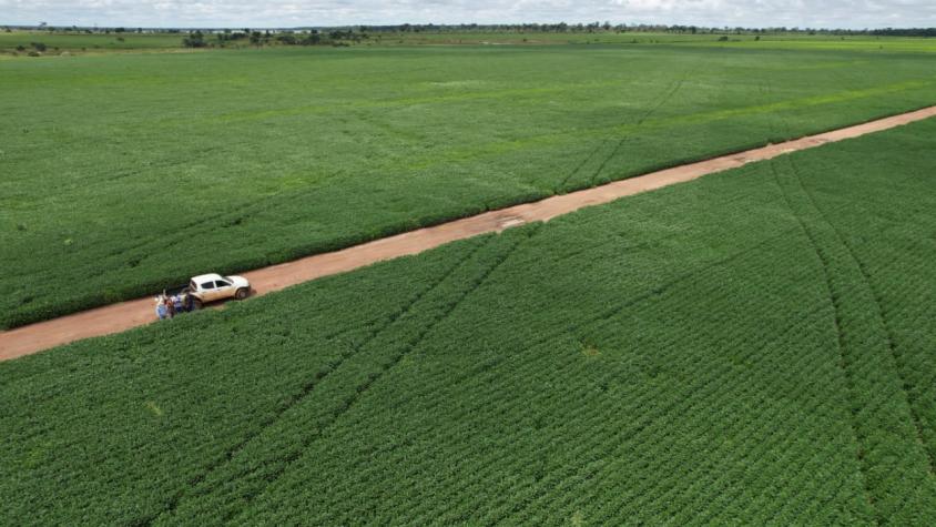 TCU determina revisão de atestado para acesso a recursos do crédito rural 